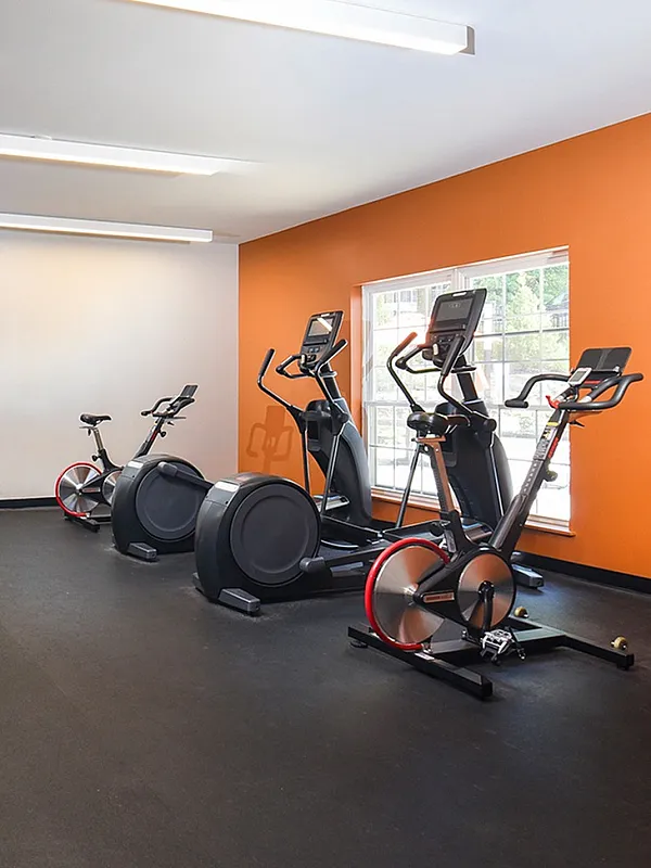 Modern fitness center with state-of-the-art exercise equipment, featuring bright orange accents and large windows for a welcoming workout environment.