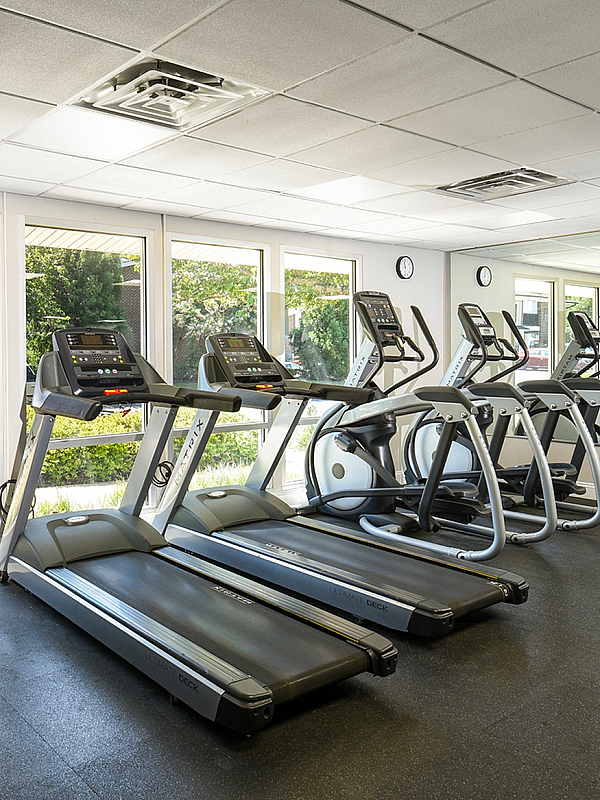 Bright and modern fitness center with top-of-the-line ellipticals and treadmills, featuring large windows and scenic outdoor views.
