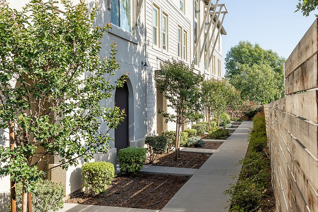 Charming exterior walkway lined with lush greenery and modern residential architecture.