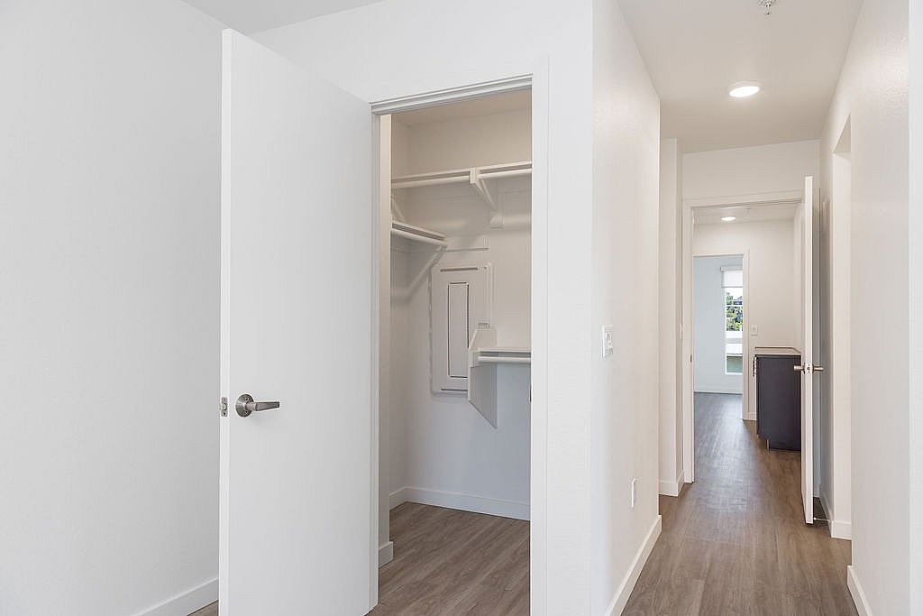 Walk-in closet with ample shelving featuring sleek hardwood flooring and ample natural light.
