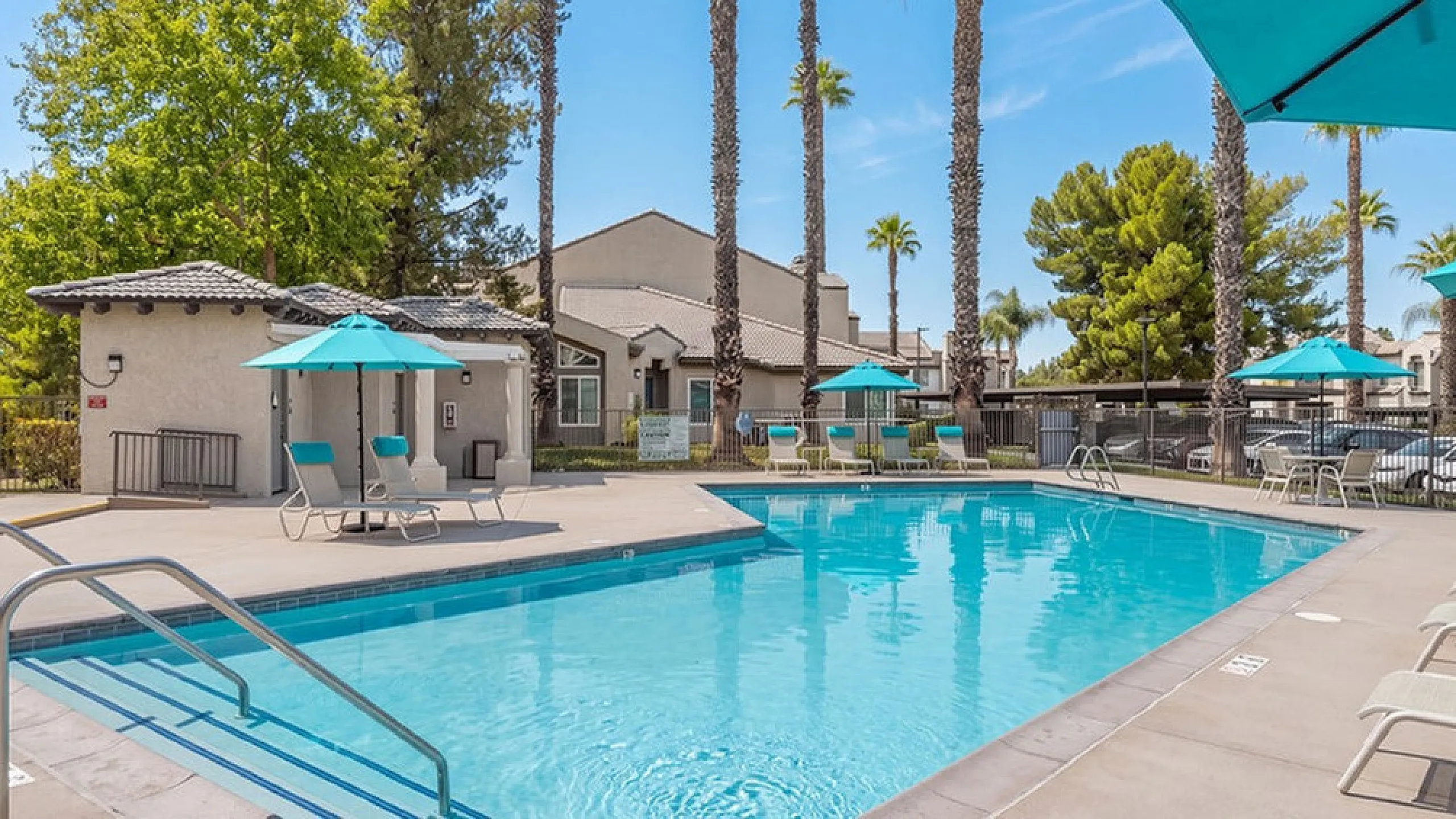 Inviting apartment community pool with relaxing loungers, vibrant umbrellas, and lush palm trees under a clear blue sky.