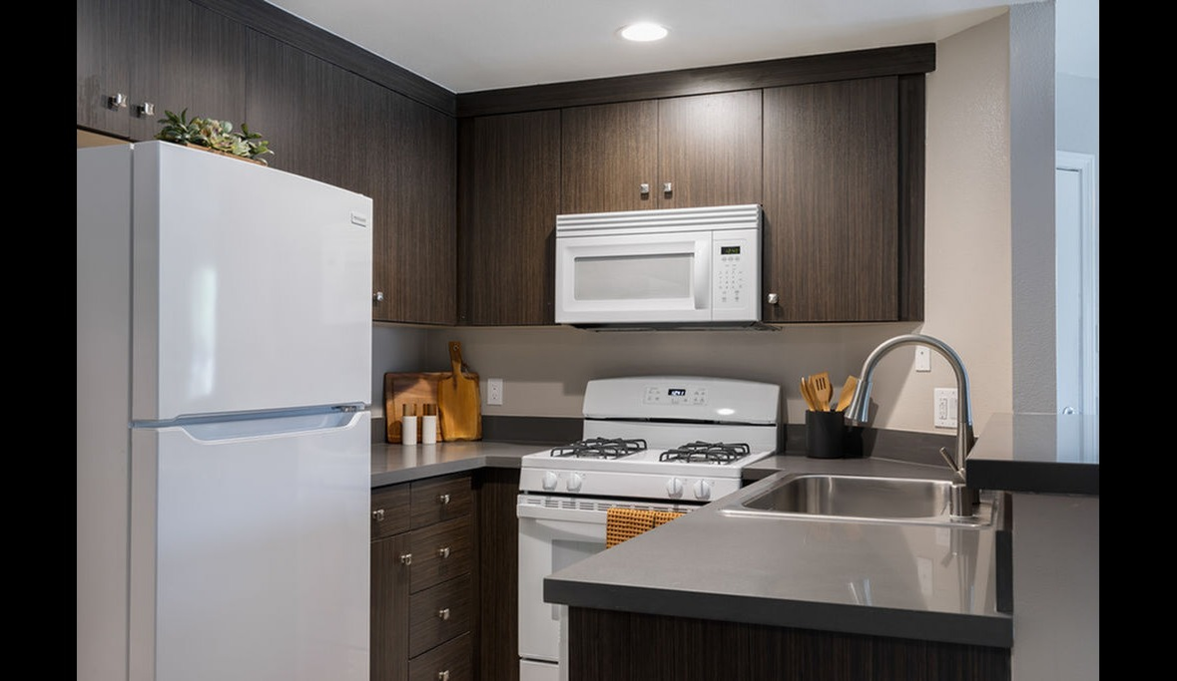 Modern kitchen with sleek dark wood cabinets, a spacious countertop, and stainless steel appliances creating an elegant cooking space.