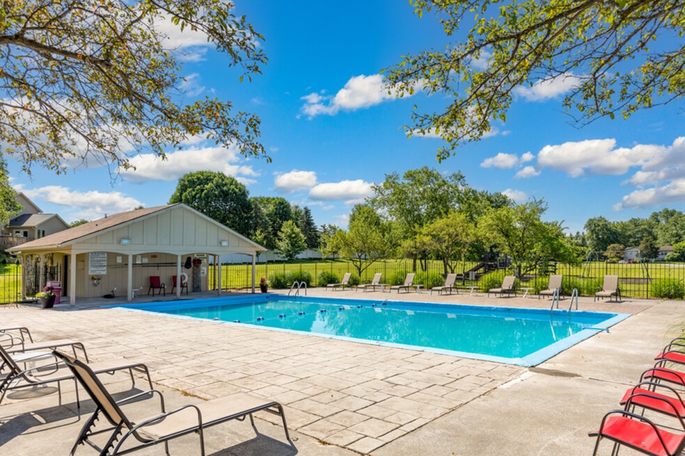 pool outdoor swim