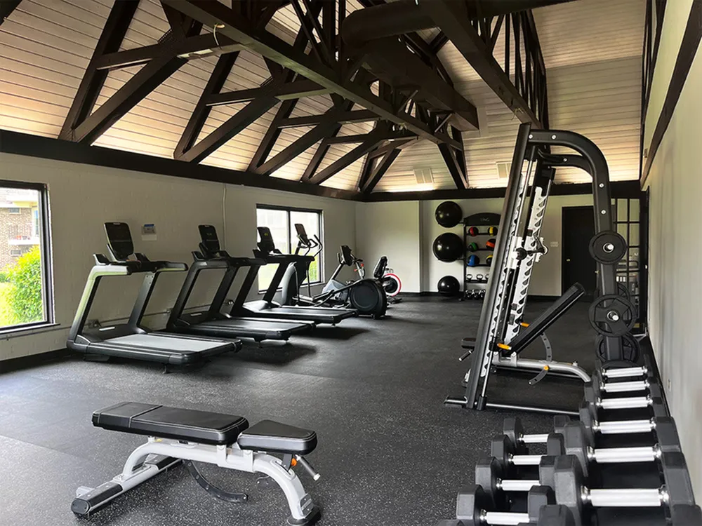 Spacious and well-equipped gym with modern treadmills, weight benches, and vibrant exercise balls under a stylish vaulted ceiling.