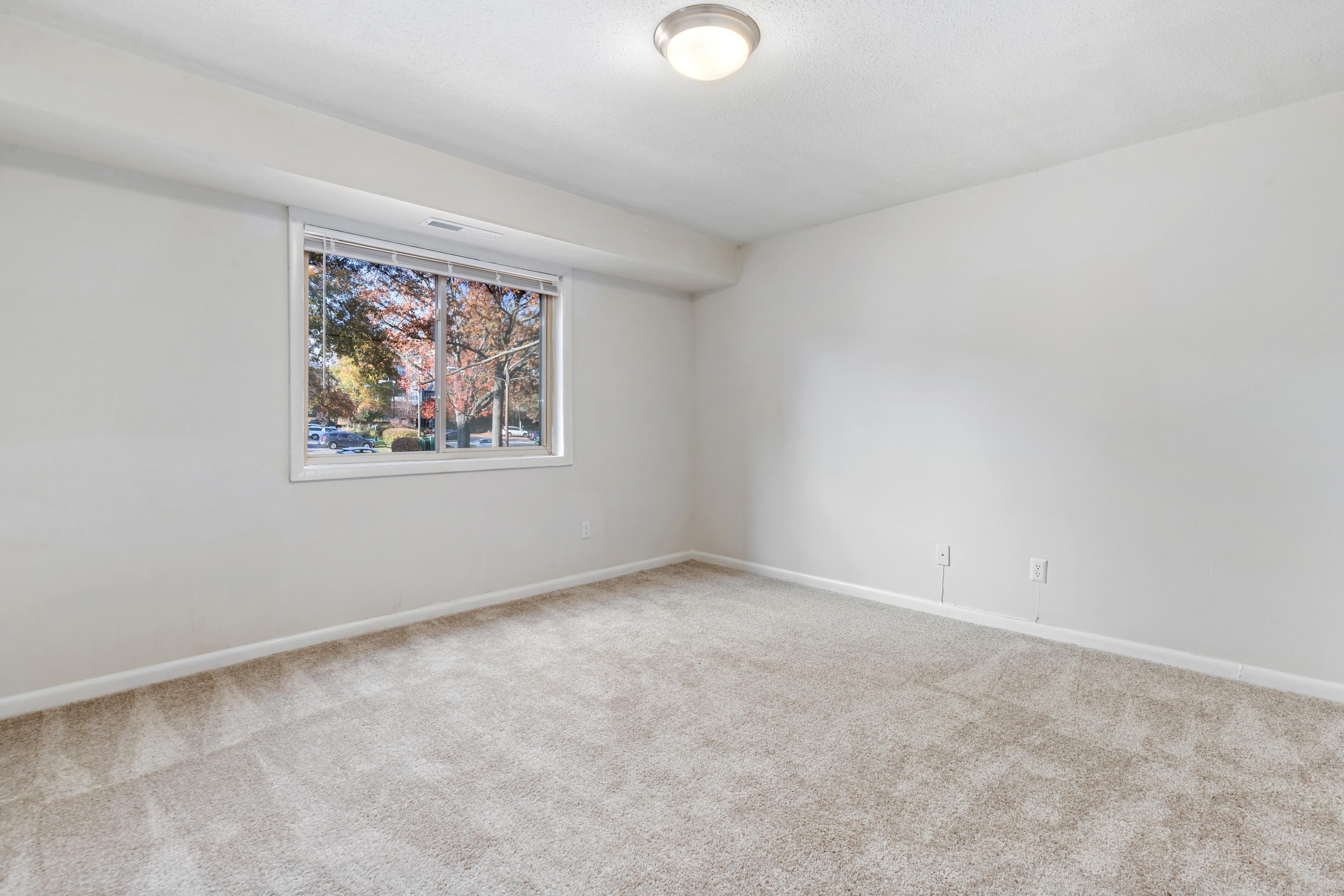 Cypress1R 1 Bed Apartment 101 N Ripley