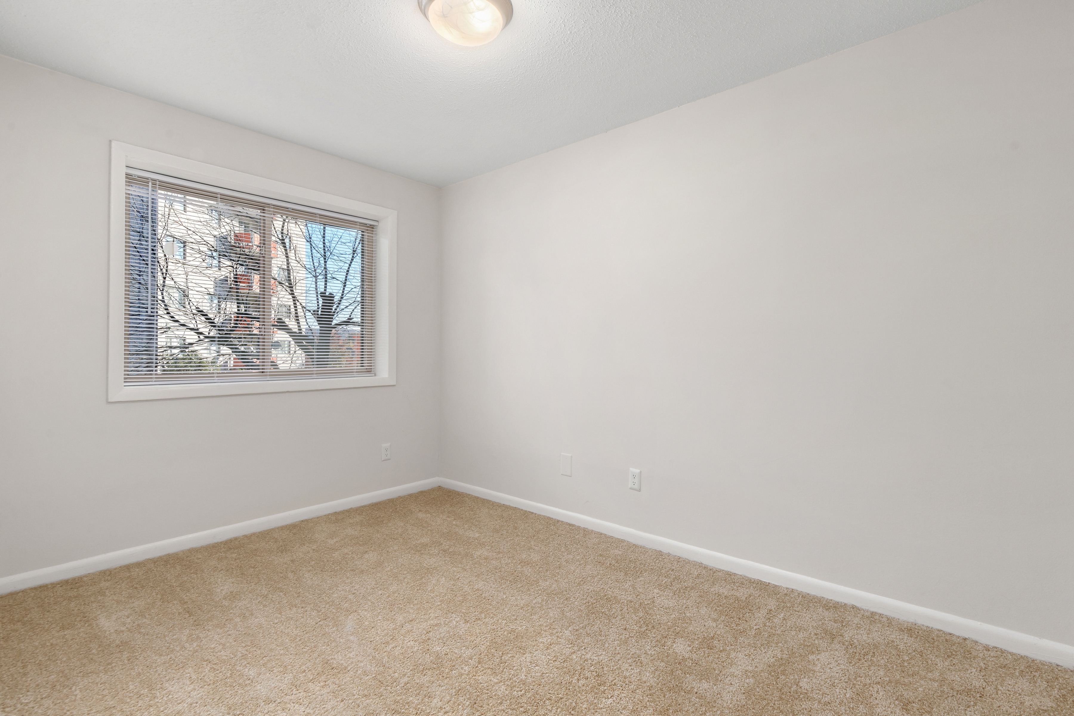 Aspen1R 1 Bed Apartment 101 N Ripley