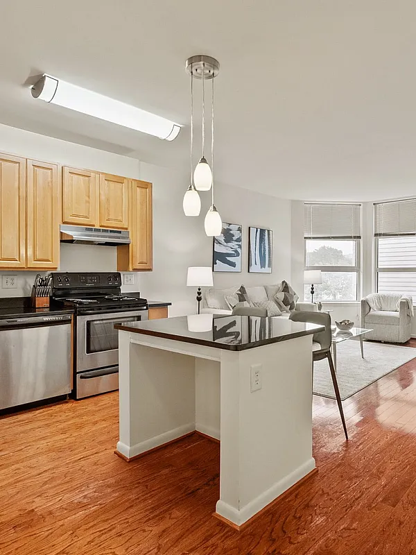 Elegant open-concept apartment with a modern kitchen, stylish living room, and ample natural light from large windows.