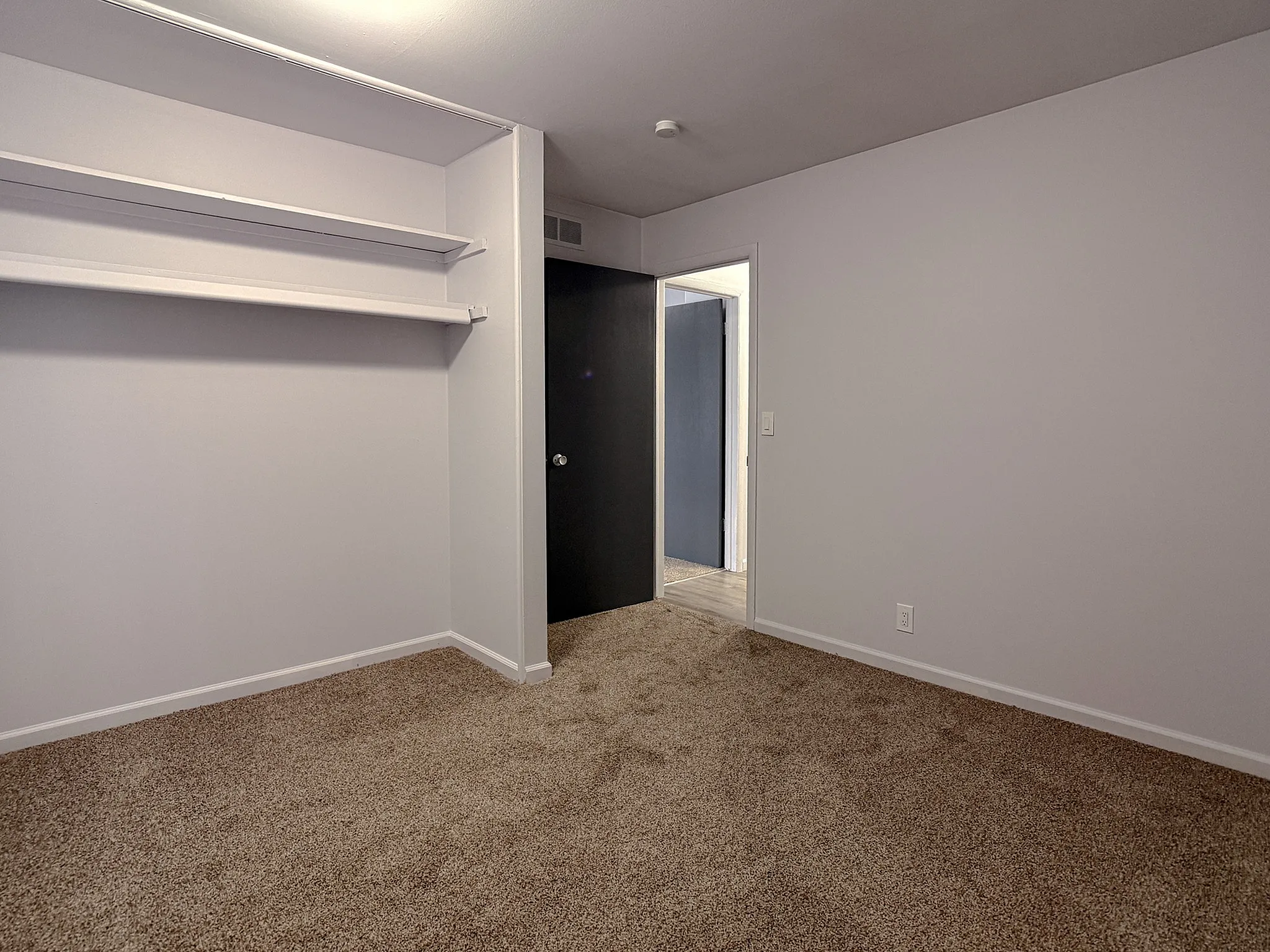 Spacious bedroom with plush carpet, built-in shelving, and neutral color palette for a cozy and modern vibe.