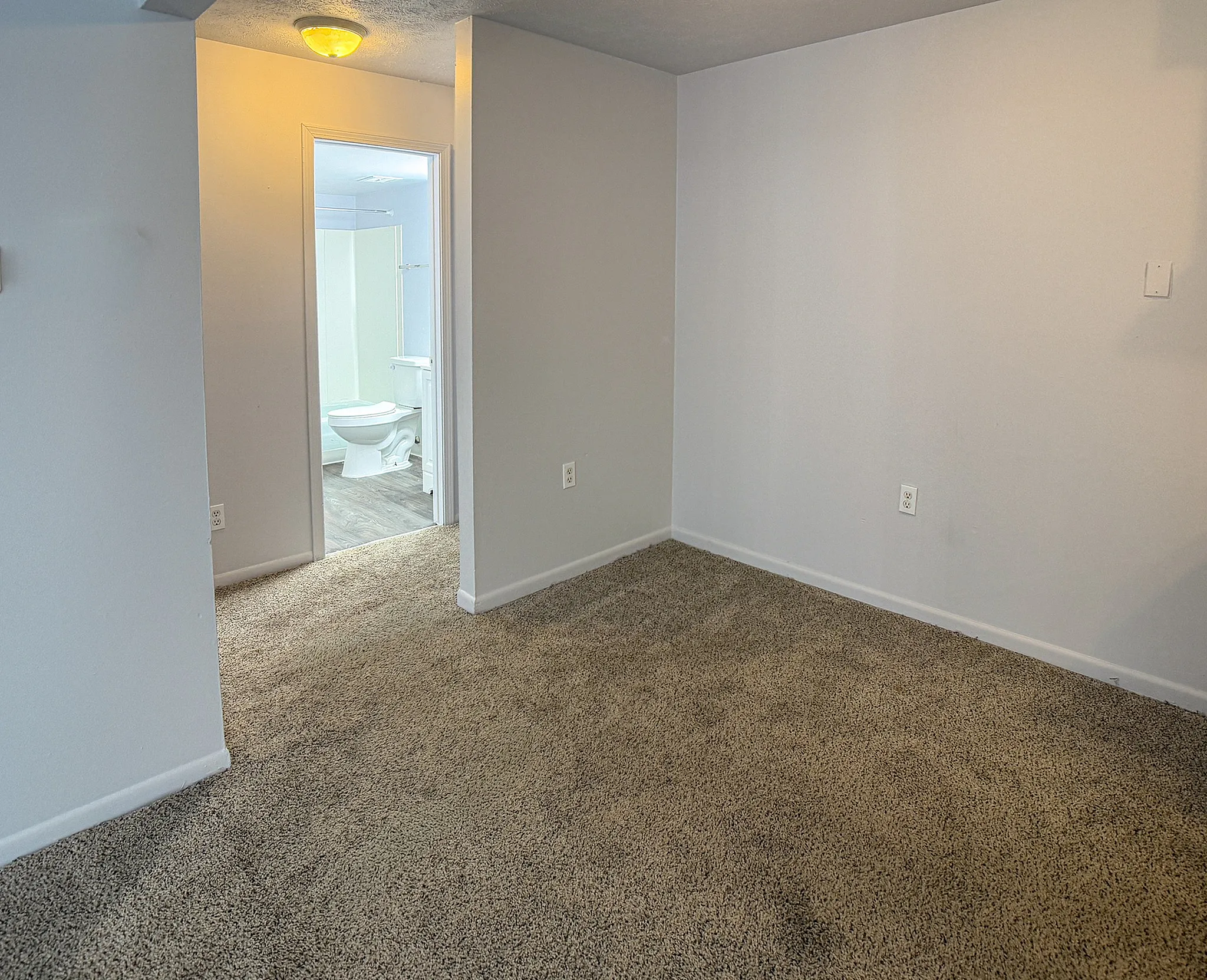 Inviting living space featuring plush carpet, warm lighting, and a glimpse into a modern, well-lit bathroom.