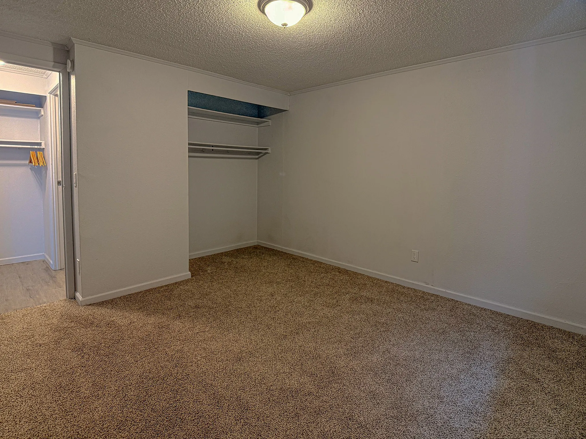 Spacious bedroom with plush carpeting and a large open closet, perfect for stylish storage in a cozy living space.