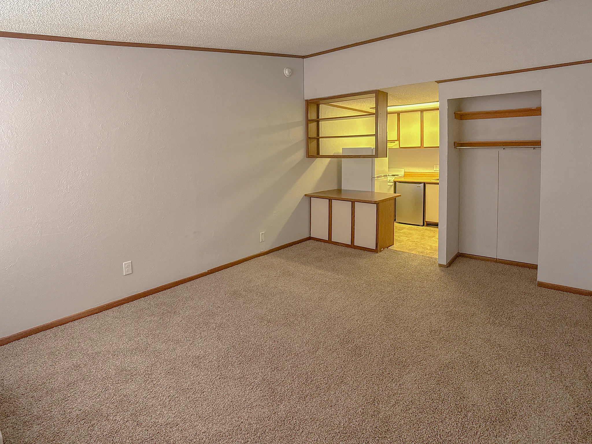Inviting open-plan living space with cozy carpeted flooring, modern kitchen, ample storage, and a warm ambiance.