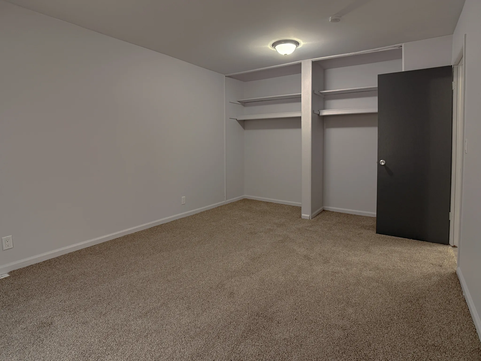 Spacious carpeted room with sleek built-in shelving and modern lighting, perfect for personalized decor and storage.