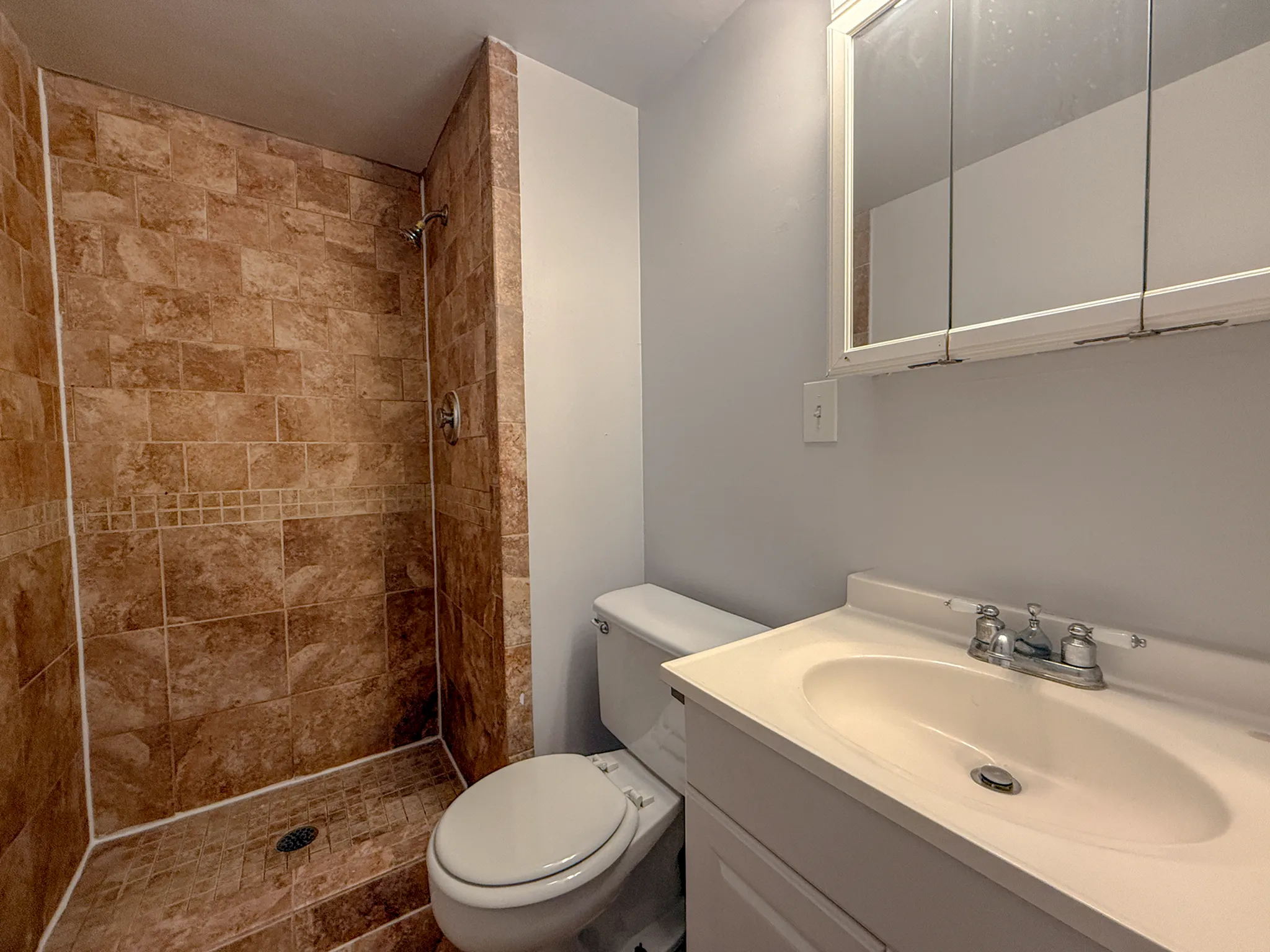 Modern bathroom with elegant tile shower, sleek vanity, and bright lighting.