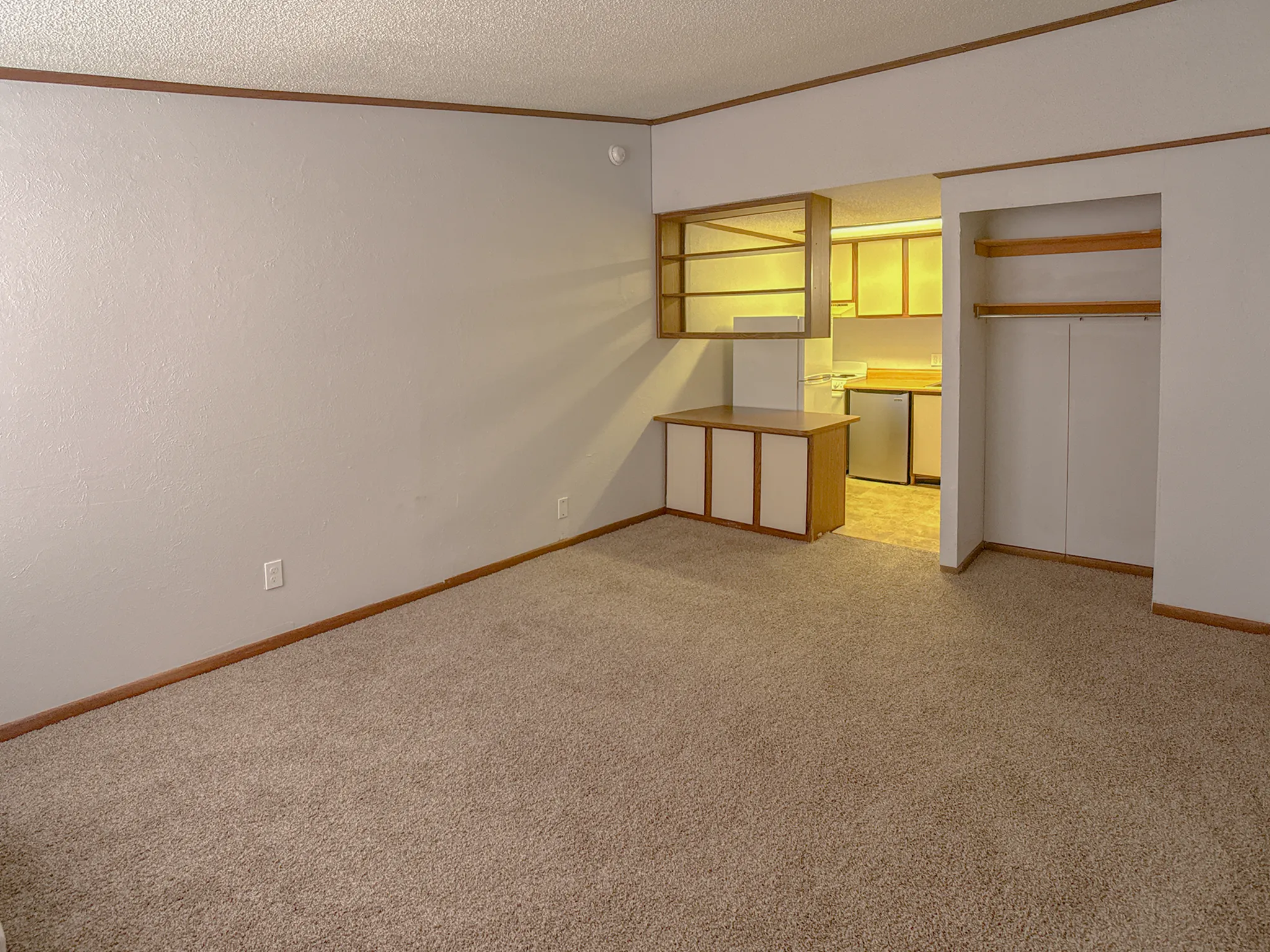 Inviting apartment interior featuring a cozy living space with plush carpeting, open to an efficient kitchen area with modern amenities and built-in storage.