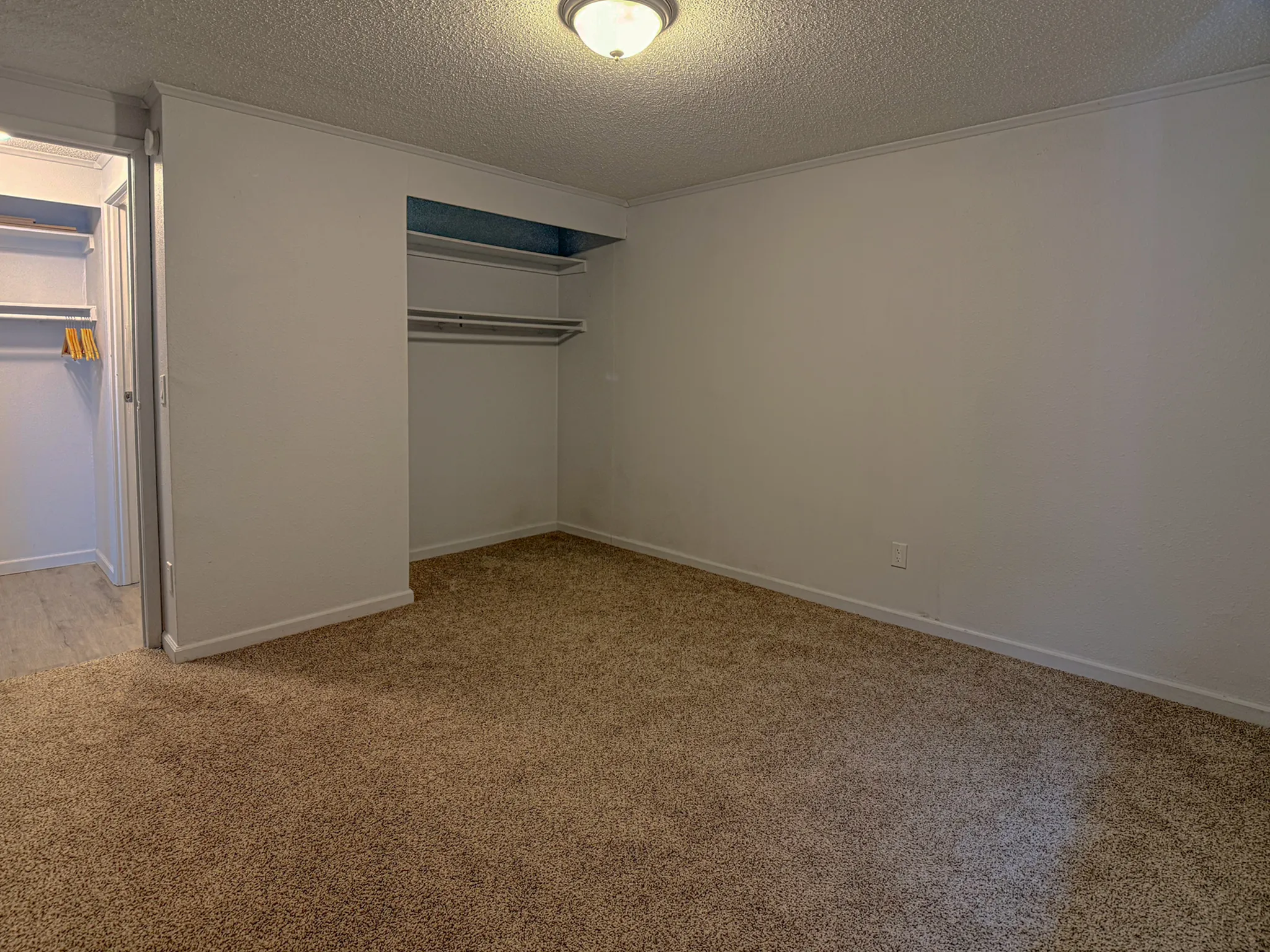 Spacious bedroom with plush carpet and a large walk-in closet, offering ample storage in a cozy, well-lit atmosphere.