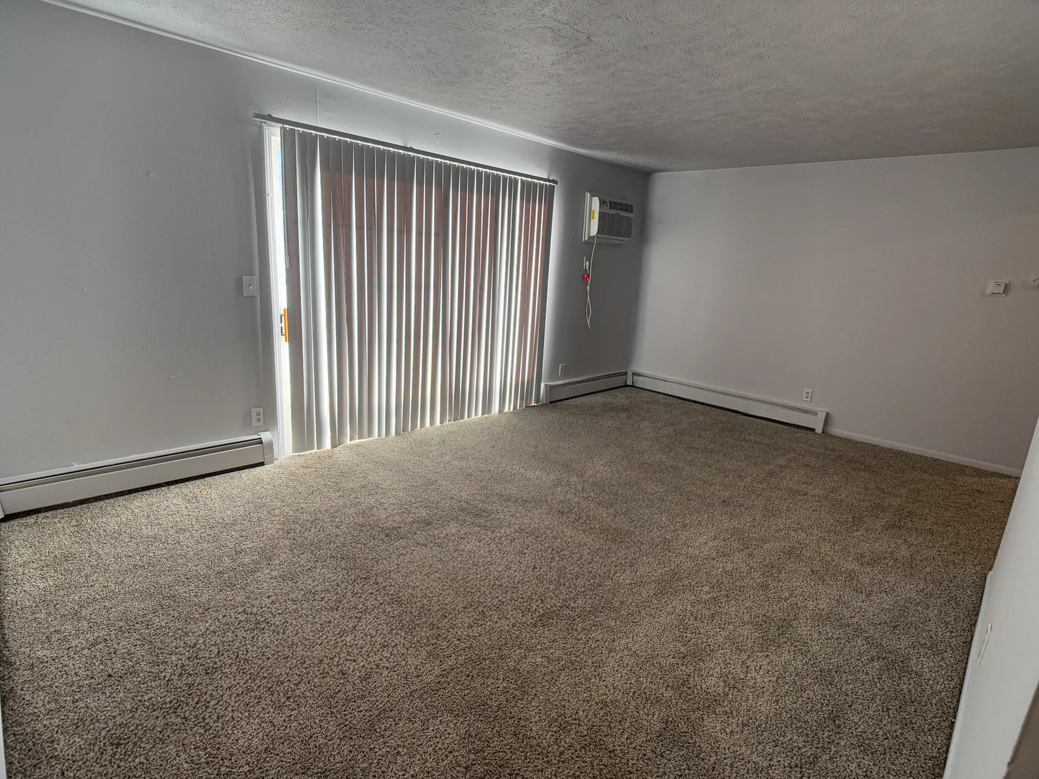 Bright and spacious living room with plush carpet and large sliding glass doors, perfect for natural light.