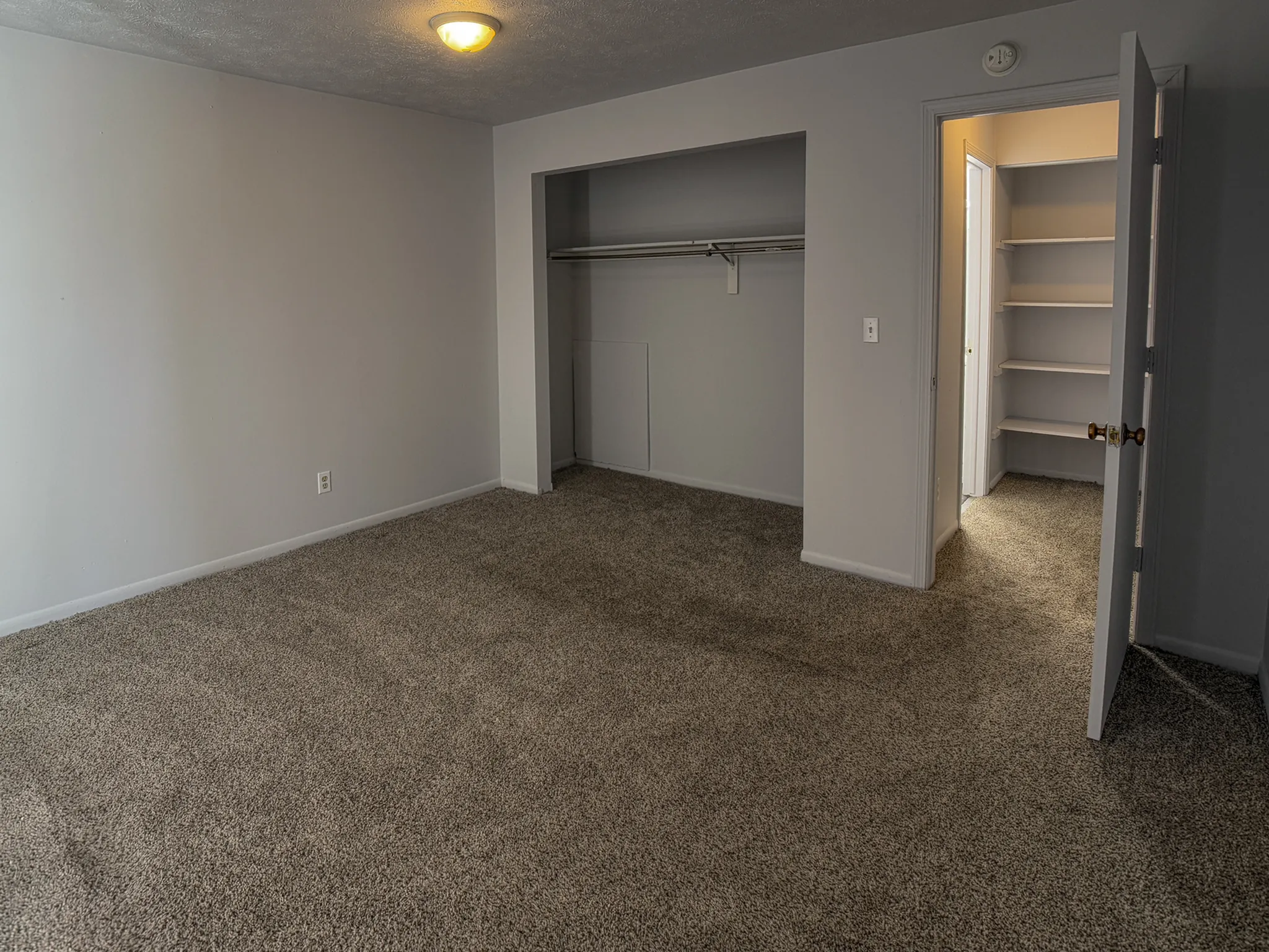 Spacious bedroom with plush carpet, featuring a large closet and an adjoining walk-in pantry for ample storage.