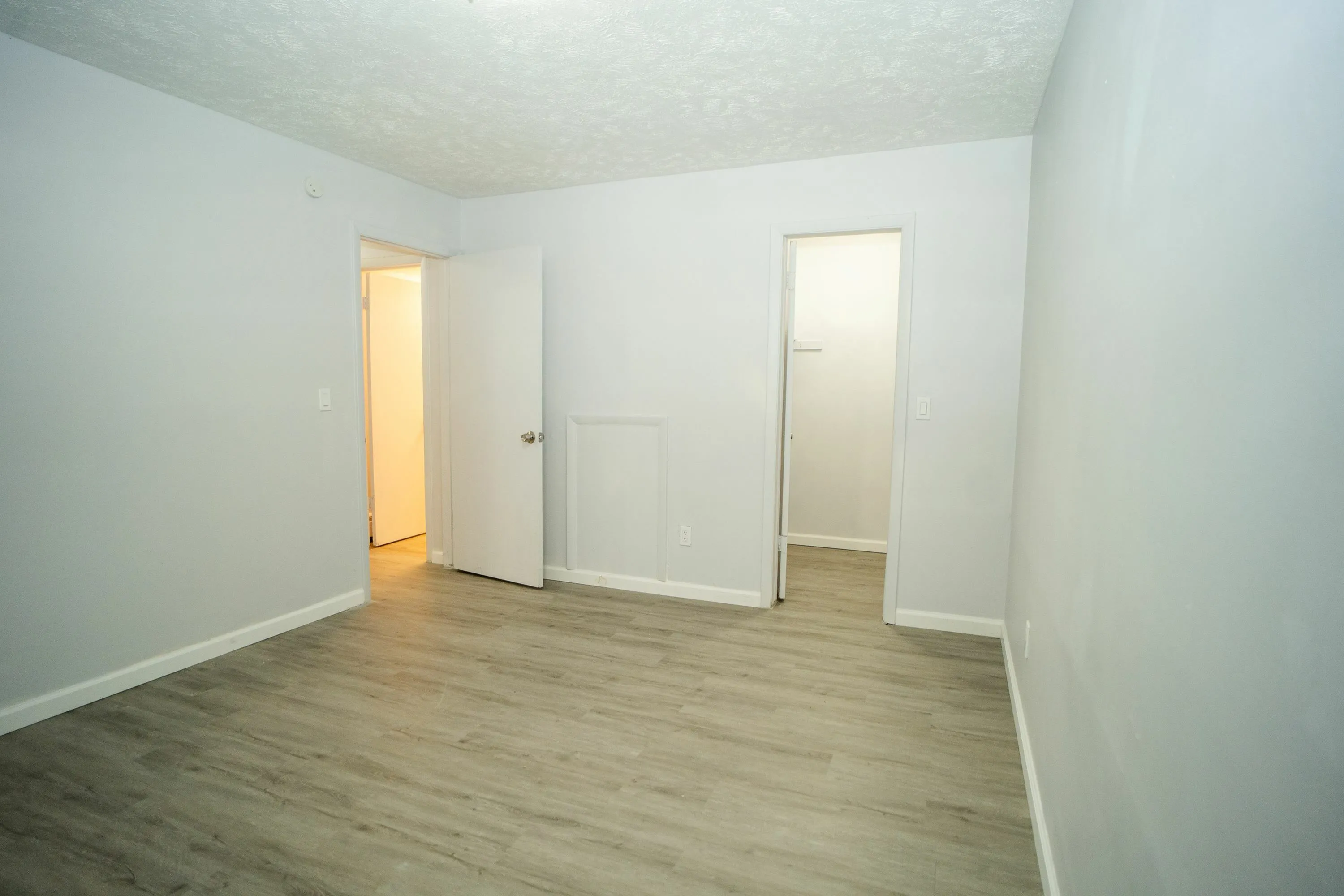Bright and airy room featuring elegant wood-style flooring, freshly painted walls, and a spacious closet entrance.