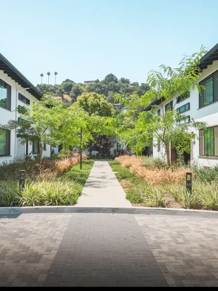 Back Pathway