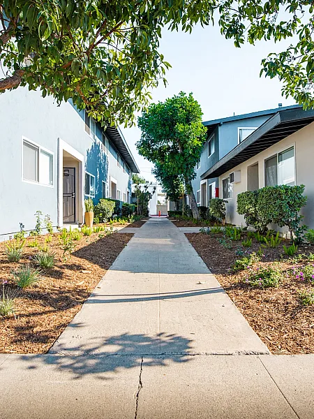 Charming apartment community walkway lined with lush greenery and modern exterior design, offering a tranquil and inviting atmosphere.