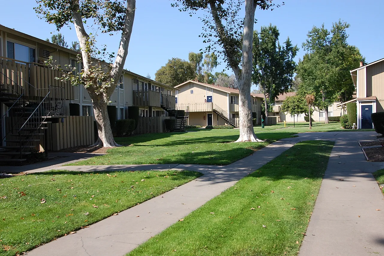 Grounds