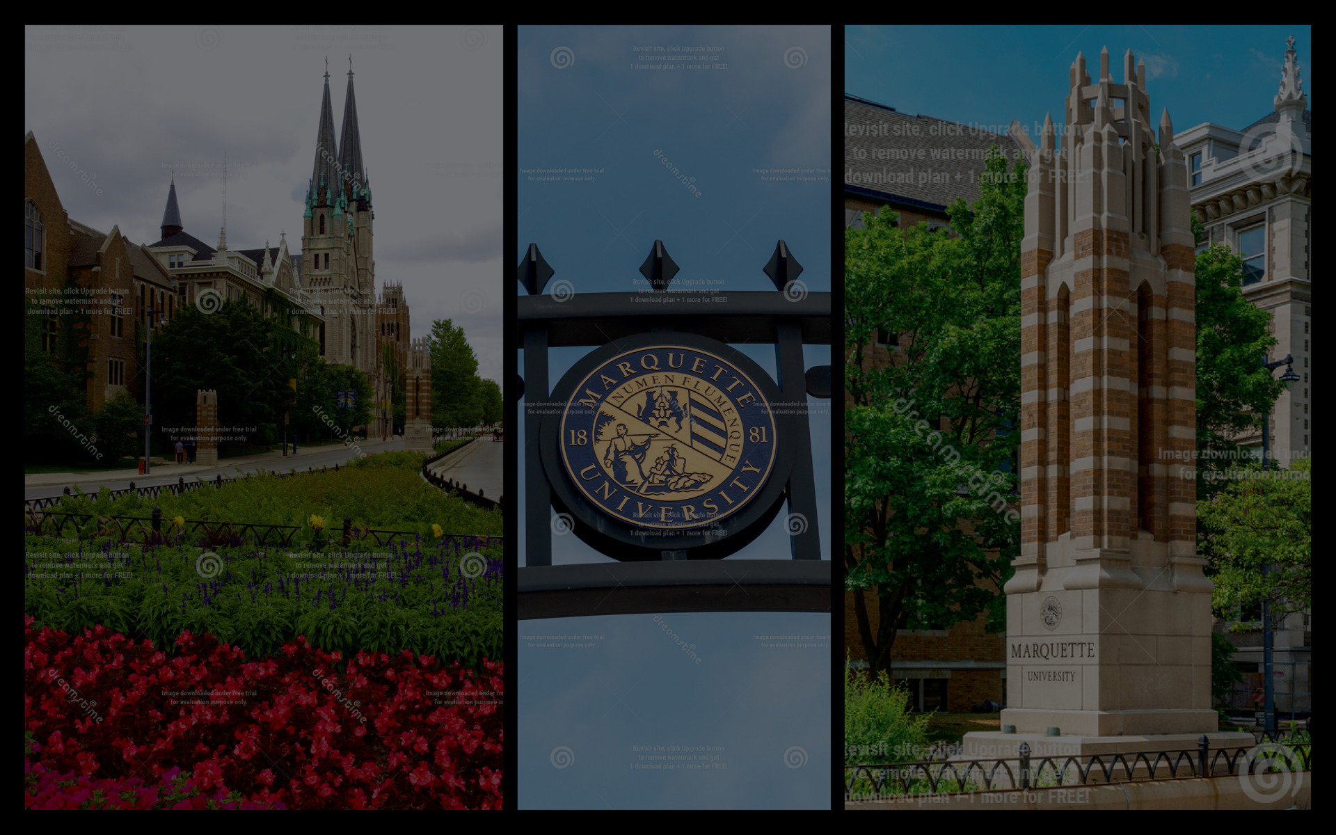 Schulhof Property Management LLC