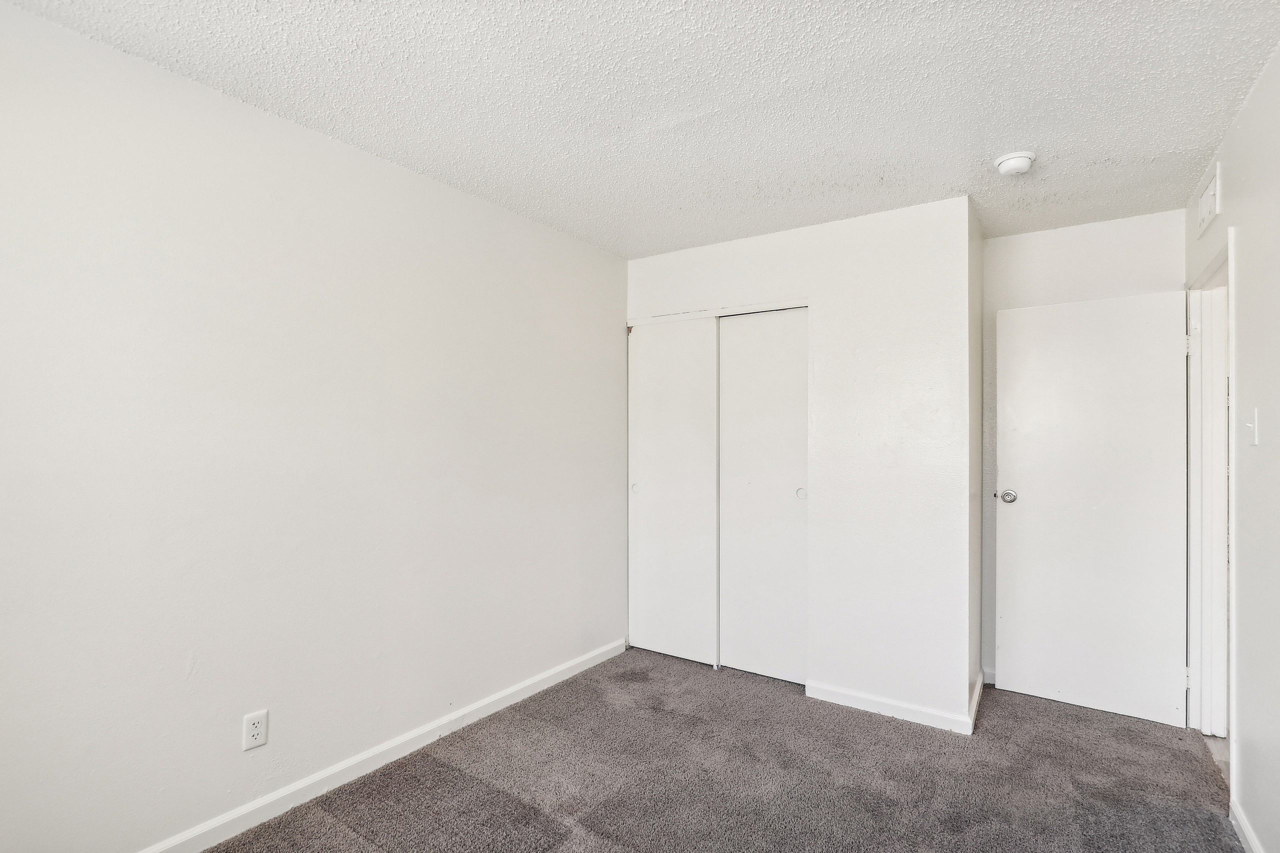 Bright and spacious bedroom with plush carpeting and sleek white closet doors, perfect for modern living.