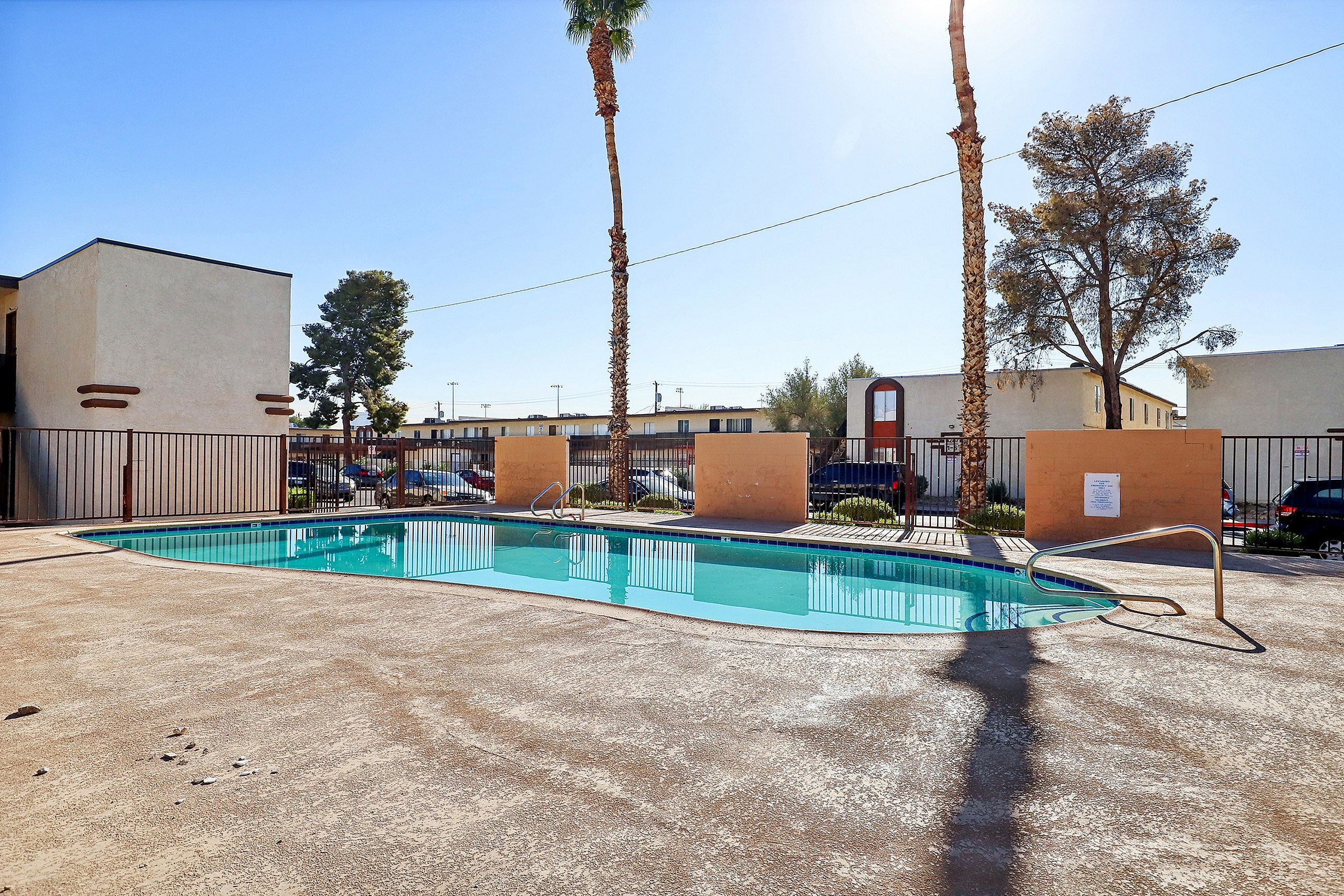 Inviting outdoor pool area with tall palm trees and a sunlit concrete deck, perfect for relaxation and enjoyment.