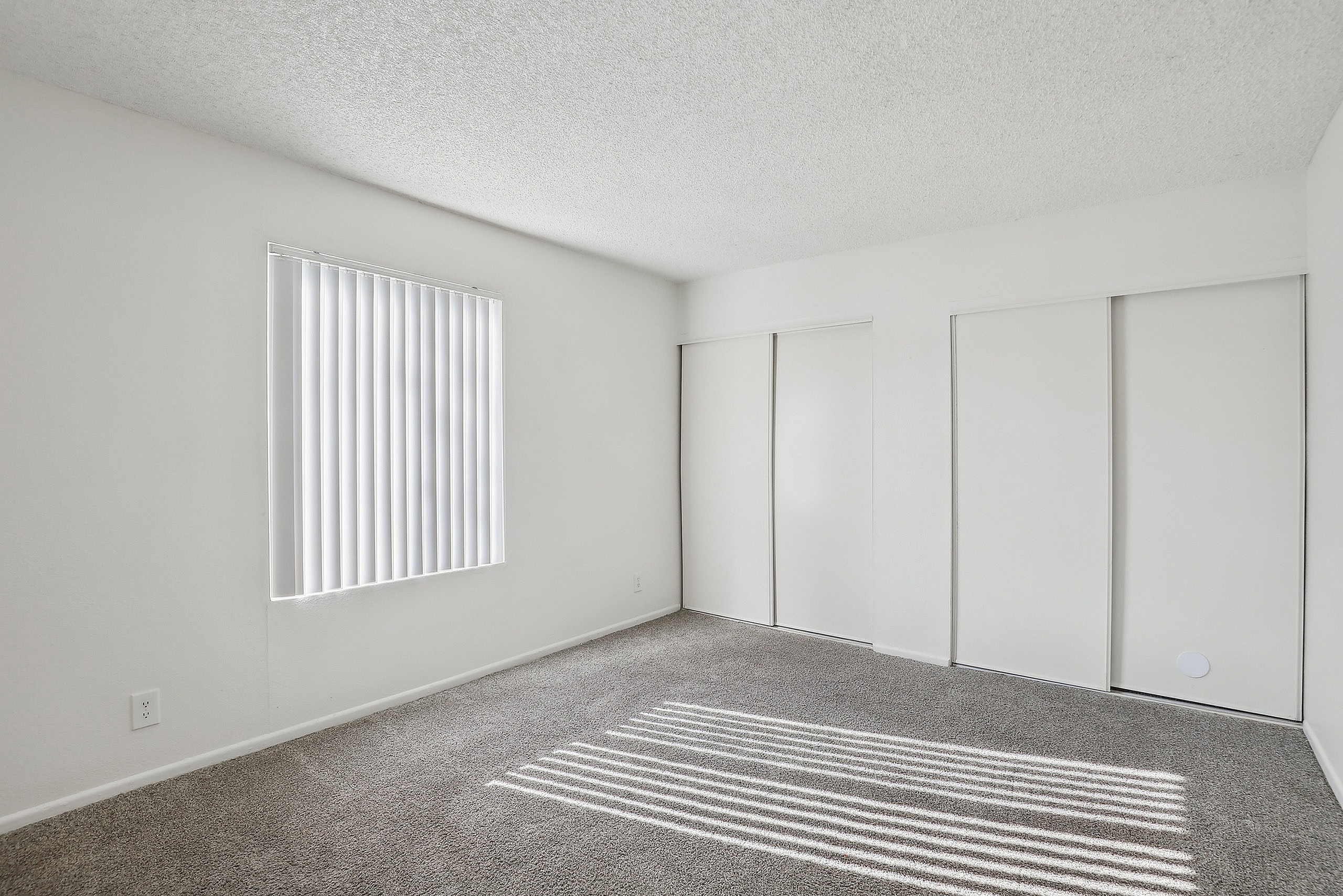 Bright and spacious empty room with plush carpeting, vertical blinds, and ample closet space.