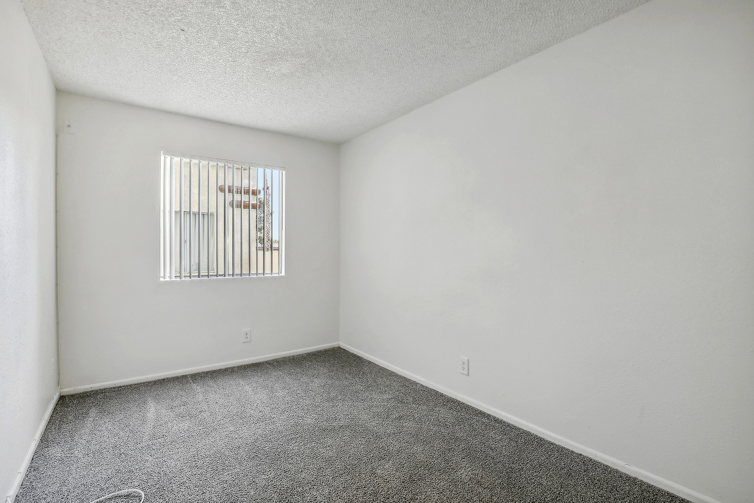 Bright and cozy bedroom with soft carpeting and a large window inviting natural light.