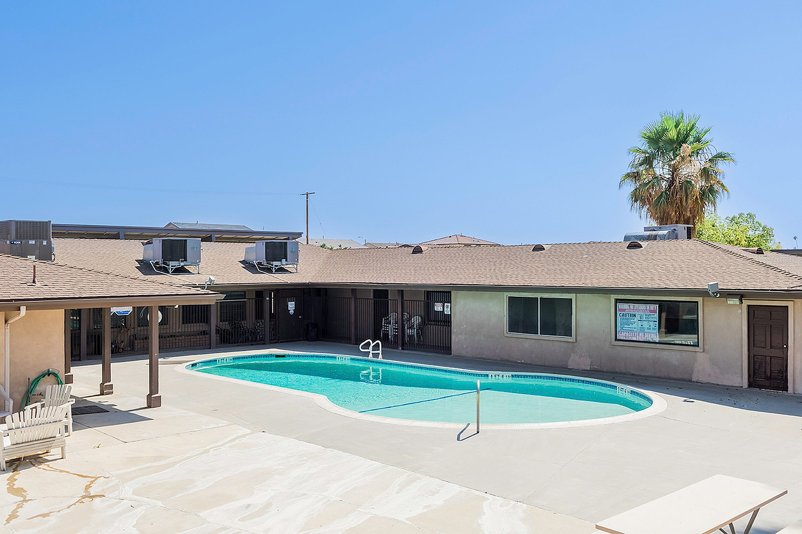 Charming community swimming pool area with sunlit patio and lush palm tree, perfect for relaxation and social gatherings.