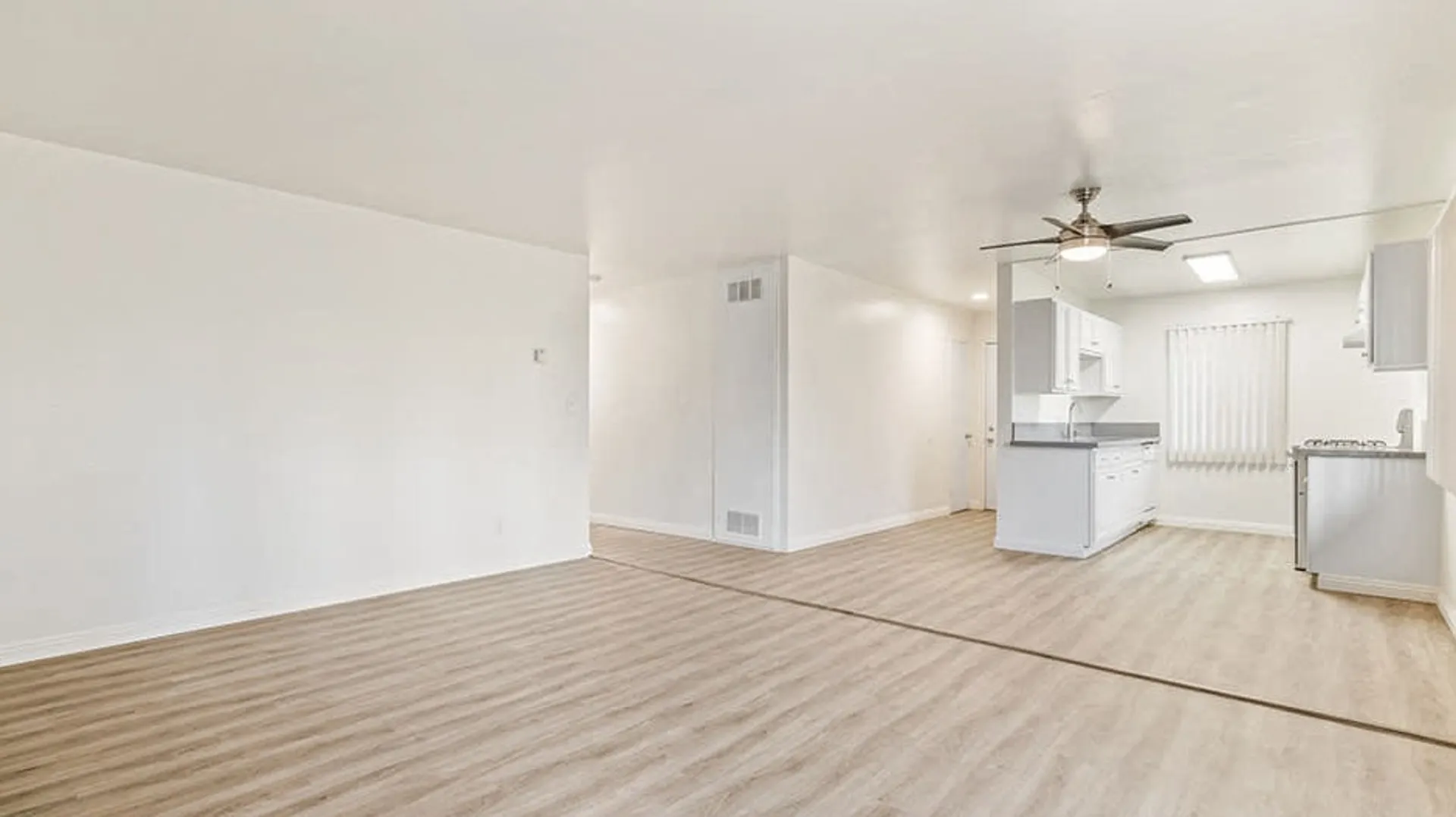 Living Room and Kitchen