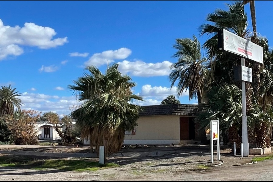 Valley Palms
