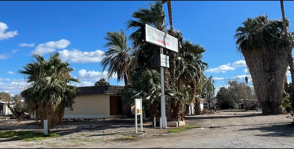 Valley Palms