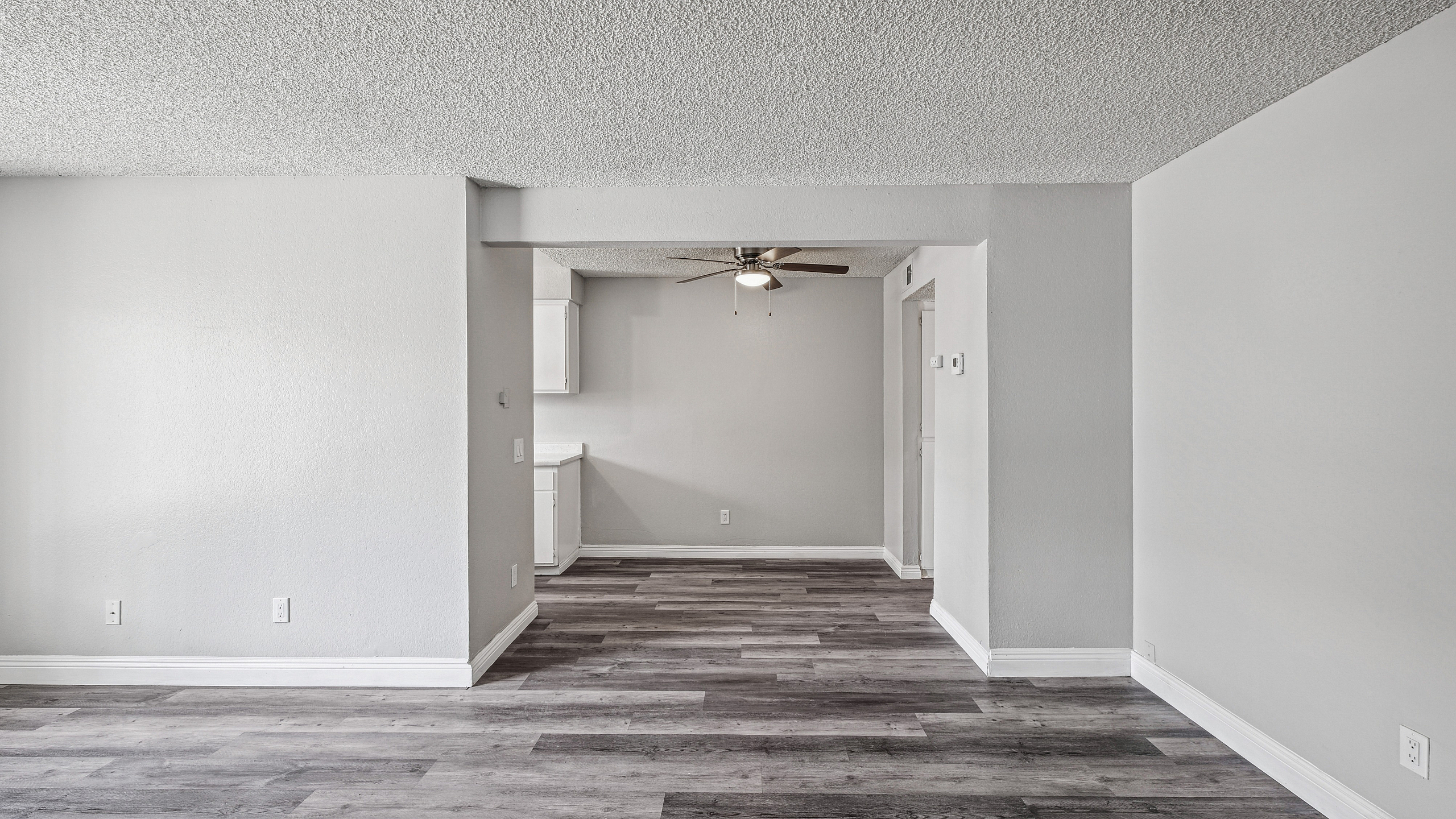 Living room and Dinning Space