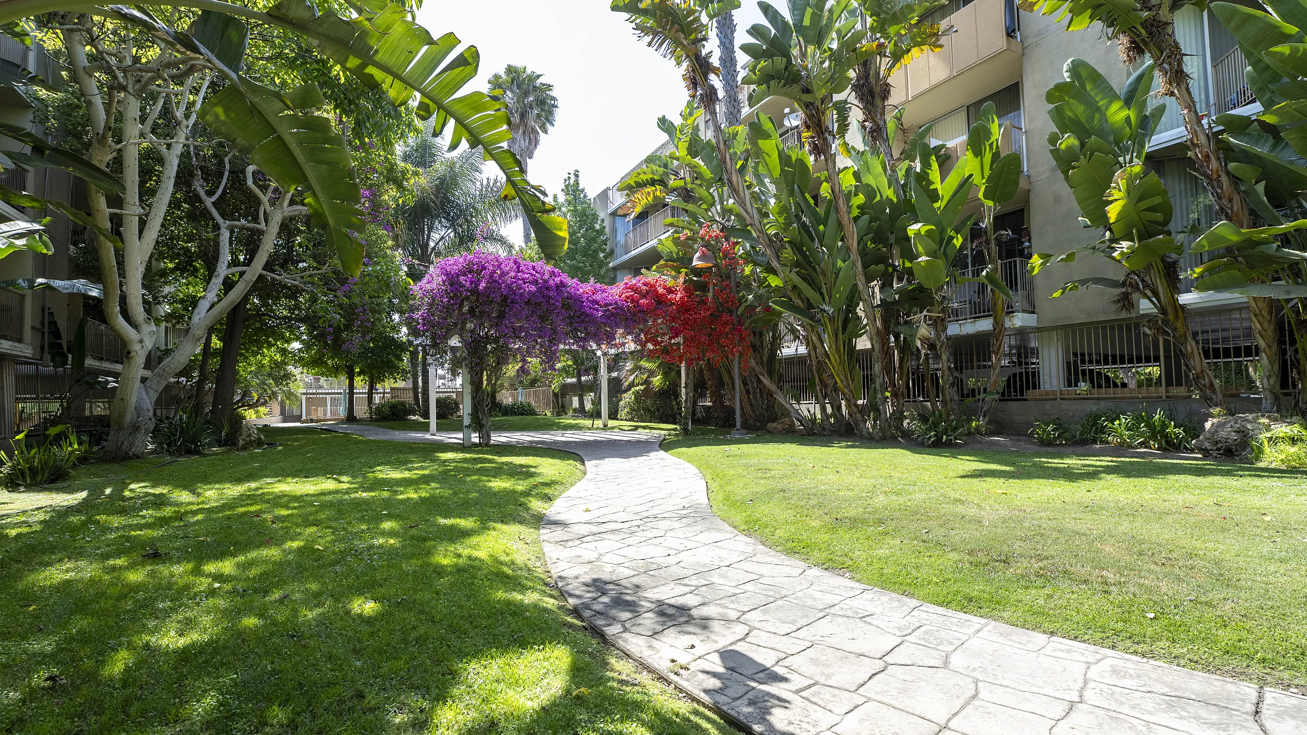 Lush garden path lined with vibrant tropical plants and colorful flowers, leading to serene residential apartments.