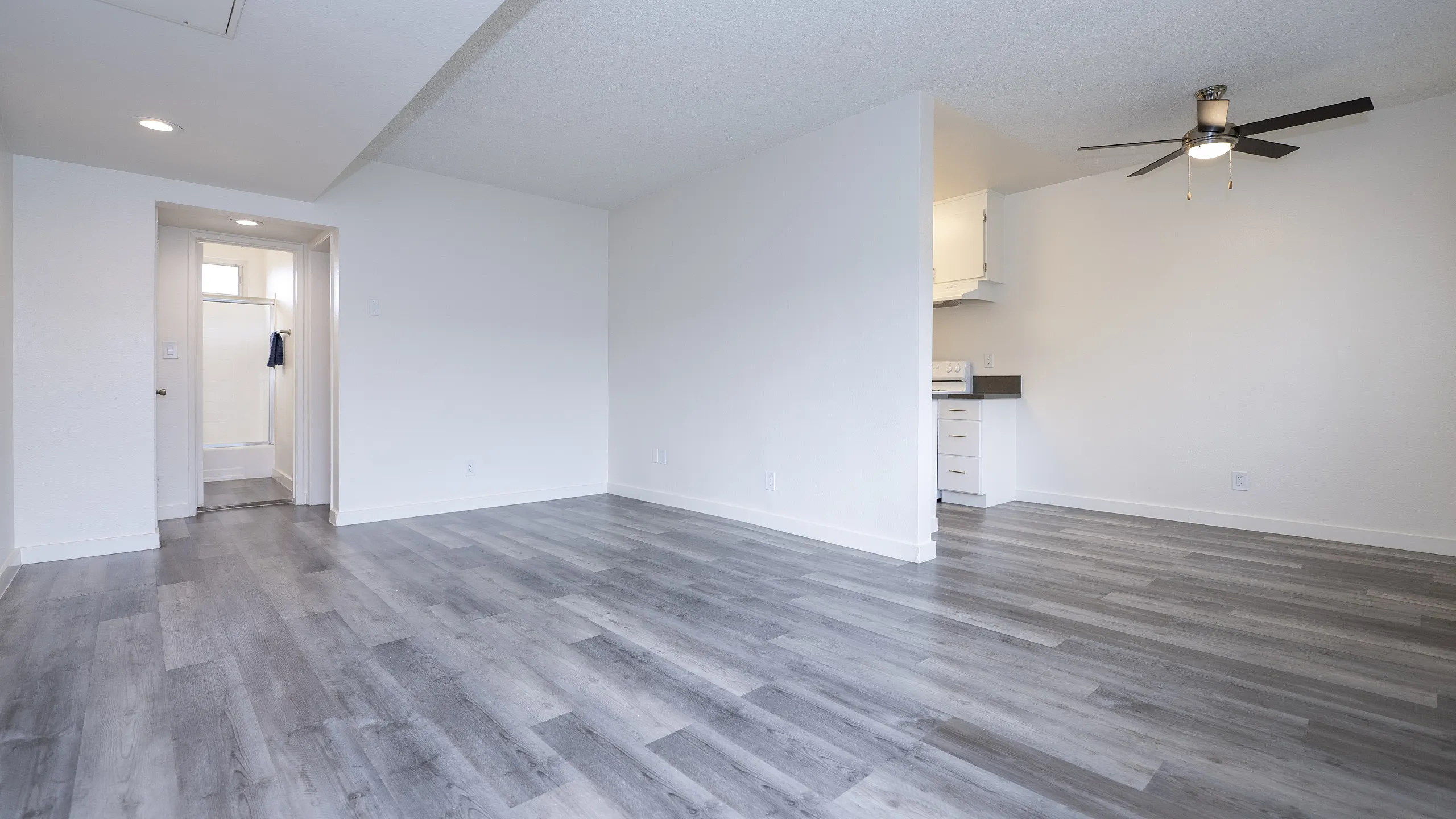 Modern apartment interior with sleek gray laminate flooring, an inviting open space, and a view into the kitchen and bathroom.