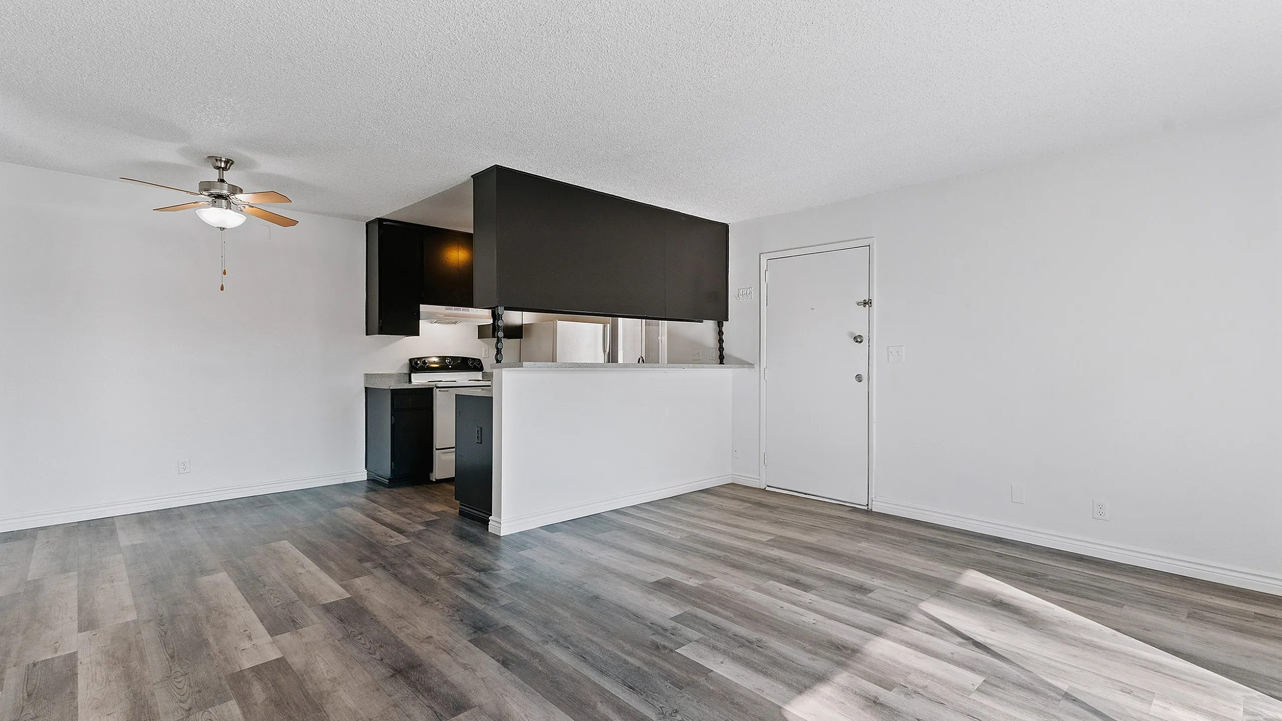 Modern open-concept apartment with sleek hardwood floors, cozy kitchen, and natural light flowing through a spacious living area.