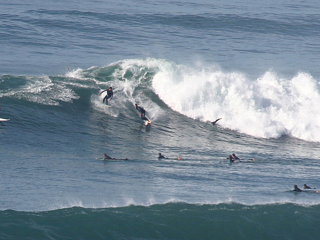 group of surfers at swamis surf break encinitas