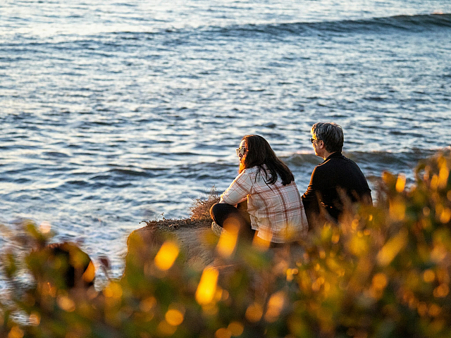 a couple looking out at the water