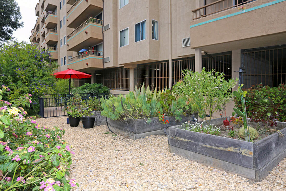 Community Garden