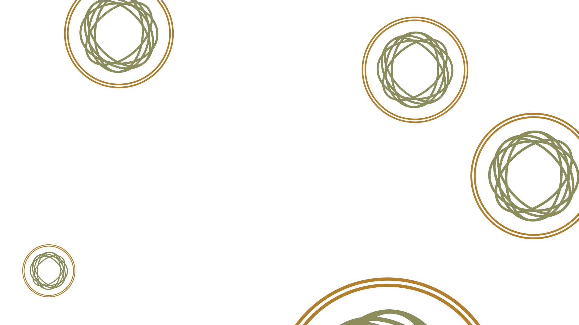 Citrino logo background image