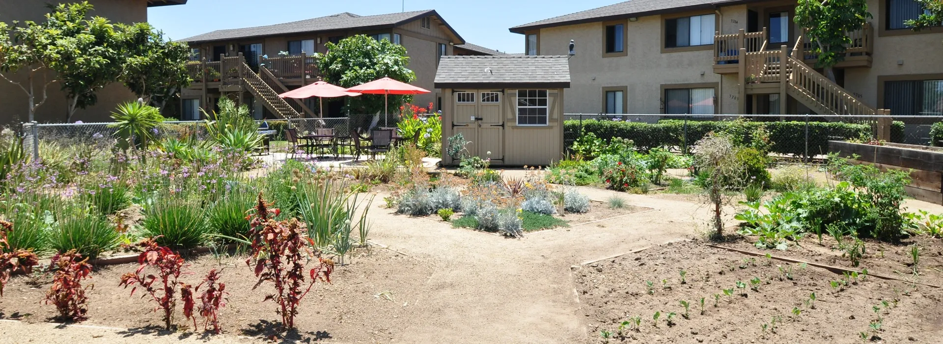 Community herb and vegetable garden