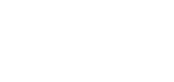 Village Apartment logo