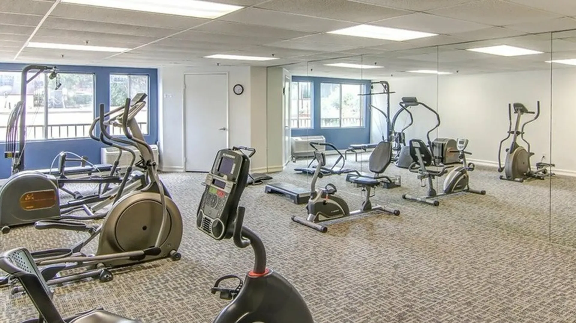 gym