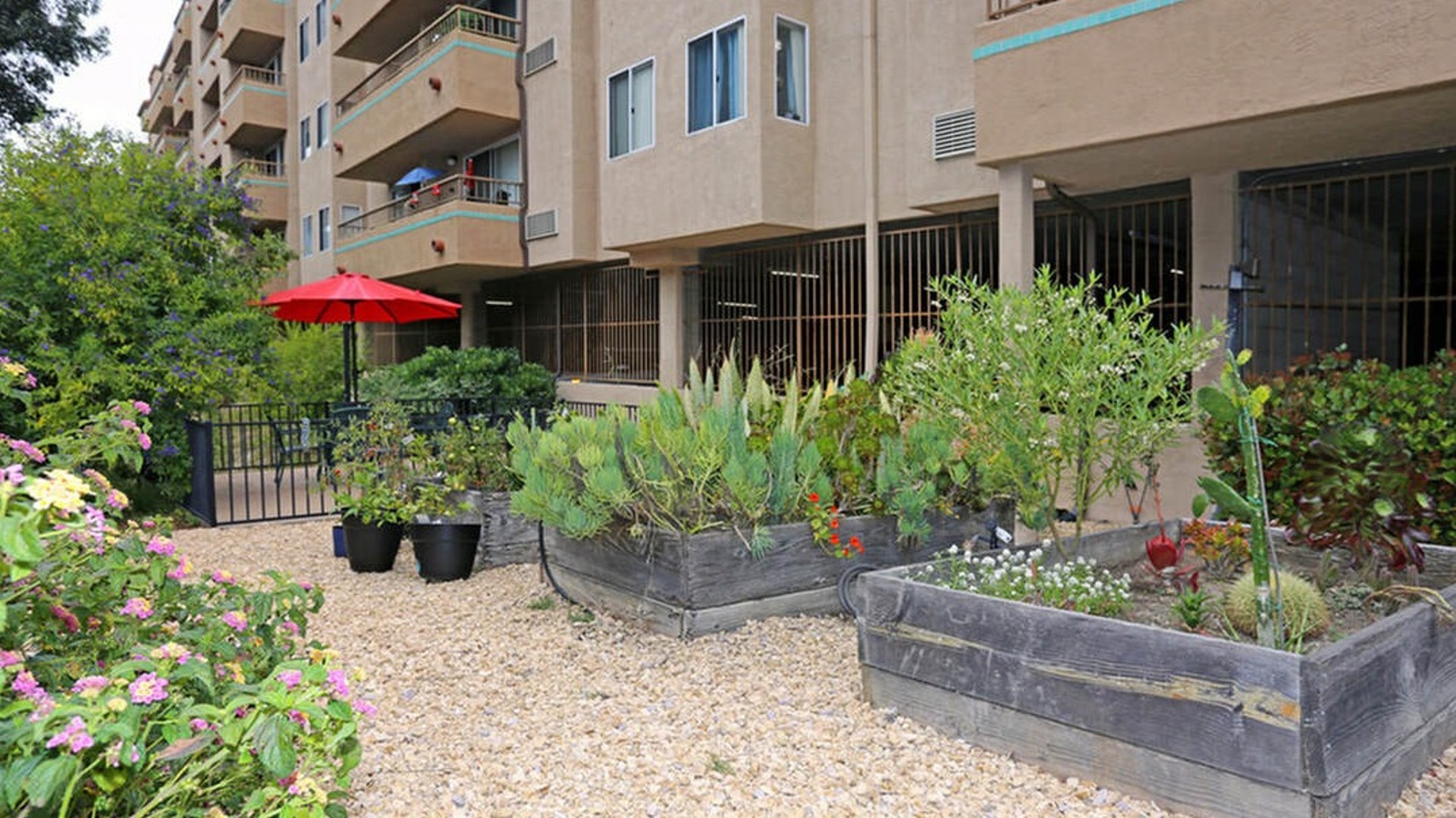 garden