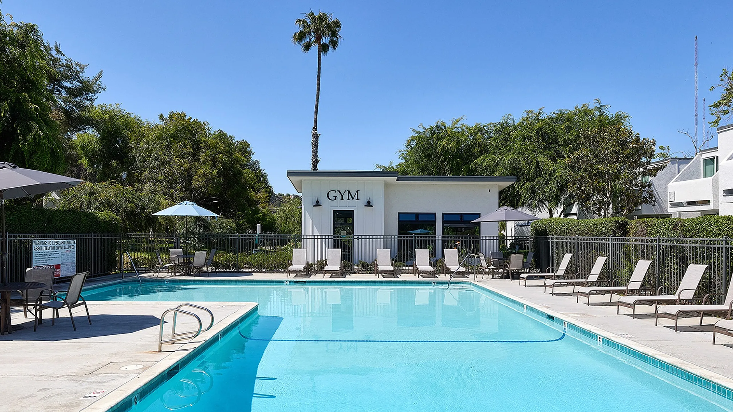 pool and lounge chairs