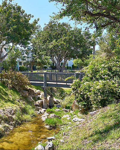 walking path with bridge