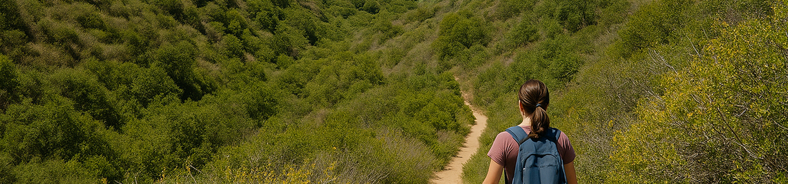Person hiking in ruffin canyon trail
