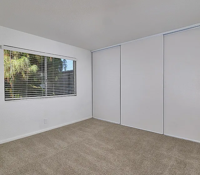 bedroom with large windows and closet